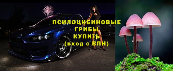 шишки Коряжма
