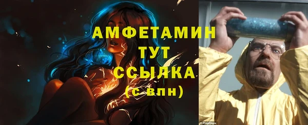 шишки Коряжма