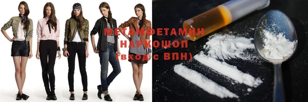 шишки Коряжма