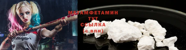 шишки Коряжма