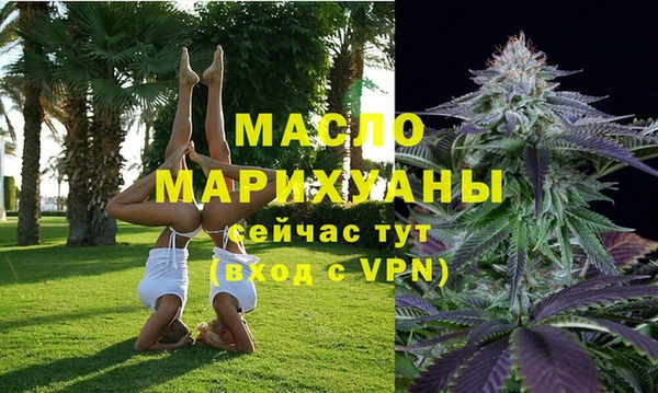 дмт Киреевск