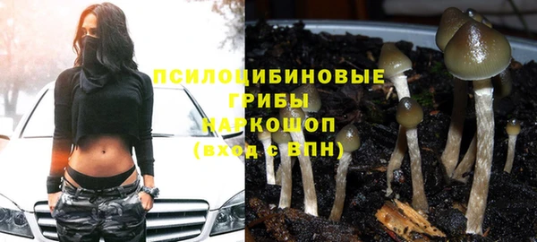 шишки Коряжма