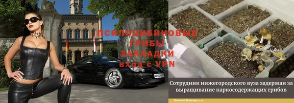 шишки Коряжма