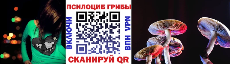Купить закладки  Гулькевичи  Псилоцибиновые грибы Magic Shrooms 